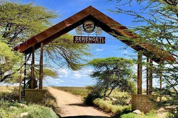3-Day Serengeti Express