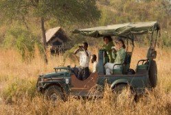 Safari scenery in Southern Tanzania